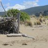 Italy, Tuscany, Marina di Alberese beach