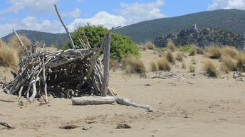 Italy, Tuscany, Marina di Alberese beach