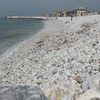 Italy, Tuscany, Marina di Pisa beach