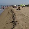 Italy, Tuscany, Rimigliano beach, water edge