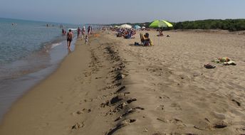 Italy, Tuscany, Rimigliano beach, water edge