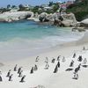 South Africa, Cape Town, Boulders Beach