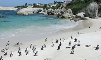 South Africa, Cape Town, Boulders Beach