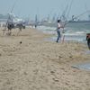 Tuscany, Calambrone beach, water edge