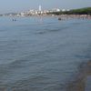 Tuscany, Scarlino beach, water edge