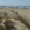 Tuscany, Torre del Lago beach, dunes