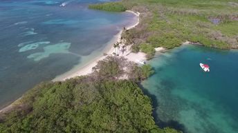 Venezuela, Cayo Aleman beach