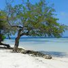 Venezuela, Cayo Pescadores beach