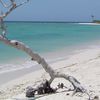 Venezuela, Playa Mayorquina beach, snag