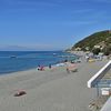 Calabria, Palizzi Marina beach, palms