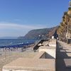 Italy, Bagnara Calabra beach, palms promenade