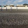 Italy, Basilicata, Tortora Marina beach