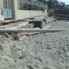 Italy, Calabria, Bocale beach, fallen trees