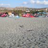 Italy, Calabria, Pellaro beach, kite surfers