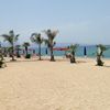 Italy, Calabria, Pizzo beach, palms
