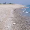Italy, Calabria, Riace beach, water edge