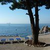 Italy, Campania, Marina d'Albori beach, tree