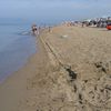 Italy, Campania, Paestum beach