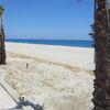 Italy, Guardavalle Marina beach, palms
