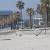 Italy, Marina di Gioiosa Ionica beach, palms