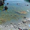 Italy, Marina di Maratea beach, snorkeling