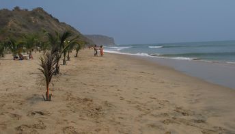 Angola, Cabo Ledo beach, palms