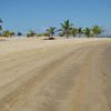 Angola, Mussulo beach, palms