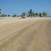 Angola, Mussulo beach, palms