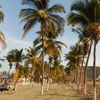 Angola, Porto Amboim beach, palms