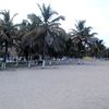Angola, Sumbe, palms