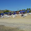 Calabria, Squillace Lido beach, palms