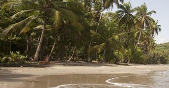 Dominica, Hampstead, Batibou Bay beach