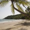Dominica, Hampstead, Batibou beach, palm