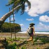 Dominica, Number One beach, palm