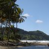 Dominica, Pagua Bay beach, palms