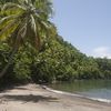 Dominica, Toucari Bay beach, palms