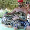 Honduras, Roatan, Little French Key island, big cat