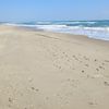 Italy, Apulia, Ginosa Marina beach, wet sand