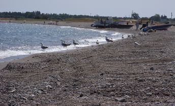 Italy, Calabria, Fossa-Solfara Mare beach