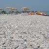 Italy, Calabria, Rocca Imperiale Marina beach, pebble