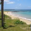 Japan, Amami, Tokunoshima, Yonama beach