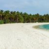 Lhaviyani, Cocoon Maldives beach, palms