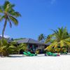 Lhaviyani, Kuredu beach, palms