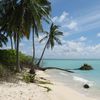 Maldives, Faafu, Nilandhoo beach, palms