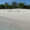 Maldives, Faafu, Nilandhoo beach, view from water