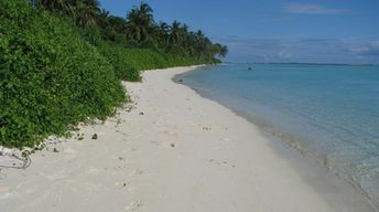 Maldives, Faafu, Nilandhoo island, beach