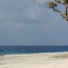 Maldives, Lhaviyani, Kurendhoo island, beach