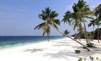 Maldives, Raa Atoll, Reethi Faru island, beach
