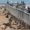 Namibia, Cape Cross beach, boardwalk