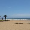 Namibia, Langstrand beach, palms